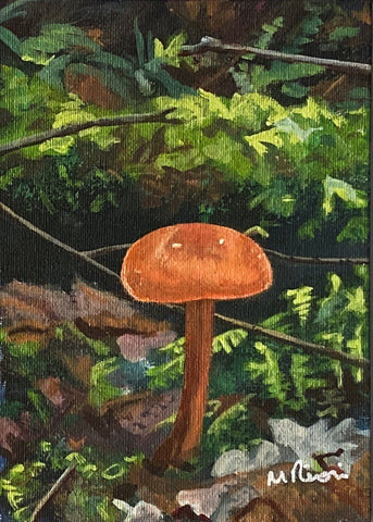 Deceiver (Laccaria laccata) Mushroom. Acrylic (MA07)