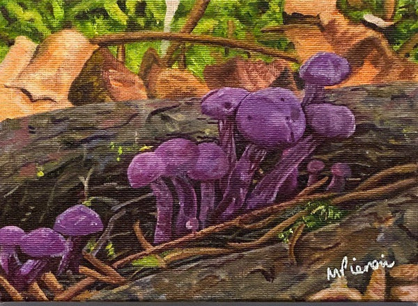 Amethyst Deciever Mushroom. Acrylic (MA08)