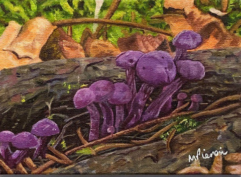 Amethyst Deciever Mushroom. Acrylic (MA08)