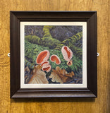 Scarlet Elf Cups (Fairy Baths) Mushroom. OIL (MA09)