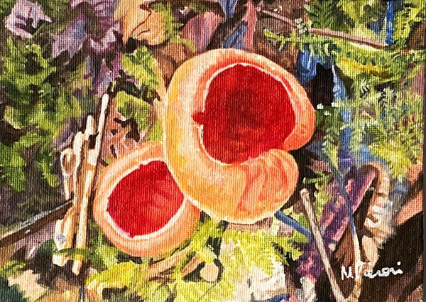 Scarlet Elf Cups Mushroom. Acrylic (MA10)