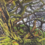 Dormant Tree. OIL (MA14)