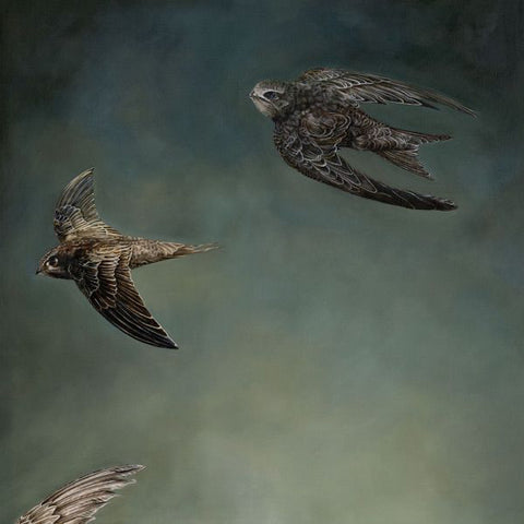 Darling Birds of May. OIL Painting (NT01)