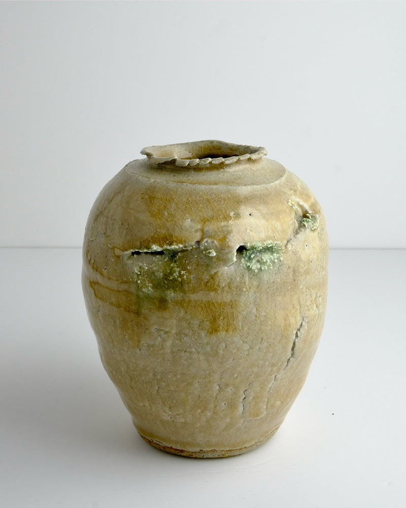 Oval Vase 2, Woodfired Ceramics (NH14)