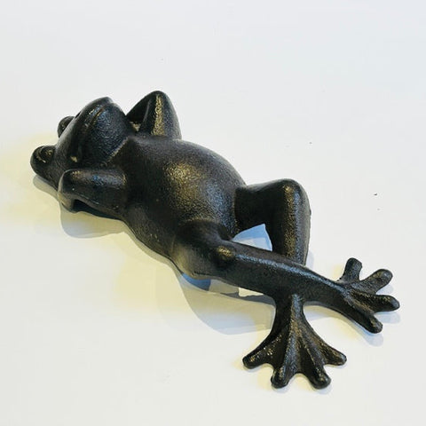 Chilling Frog. Metal Art (PGS18)