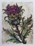 Scottish Thistle. Collagraph Print 1/30, Framed (VO92)