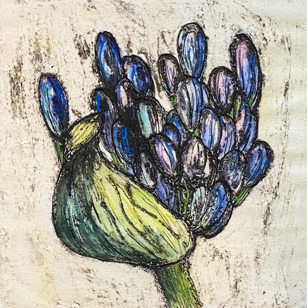 Agapanthus Burst. Collagraph Print 7/10 (VO08)