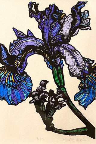 Iris, Giclee Print (RM06)