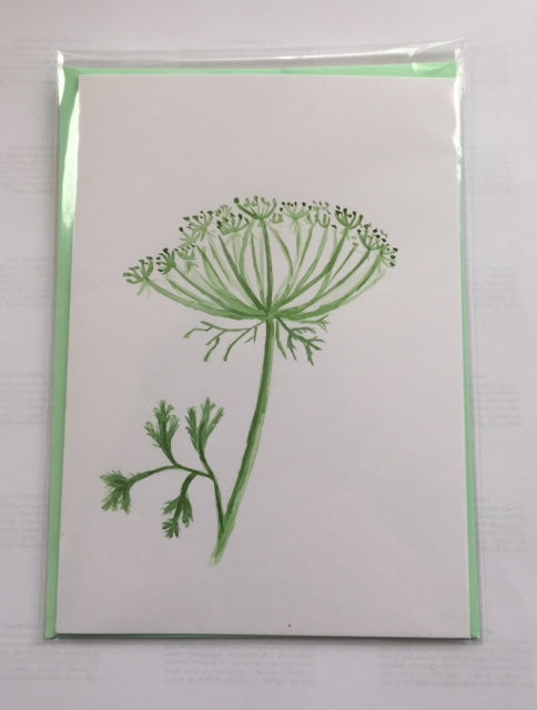 Ammi Flower (card)
