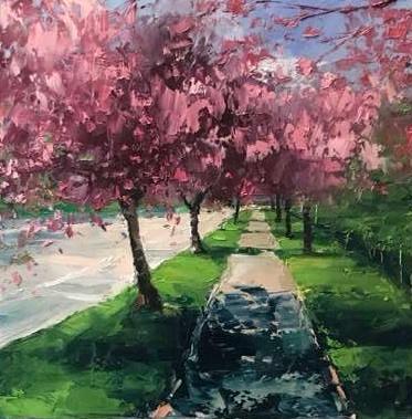 Cherry Trees, Spring Light