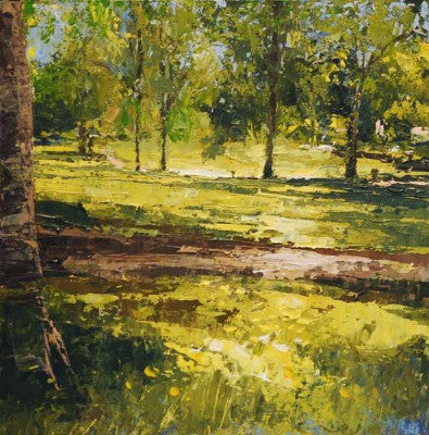 Sunlight Through the Trees, Cotteridge Park