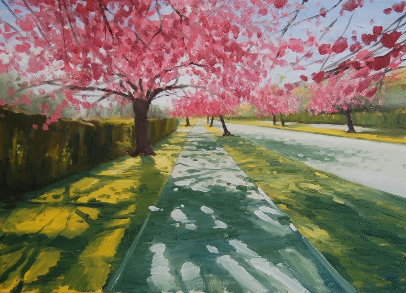 Cherry Blossom Walk. Giclee Print 2/150 (CG06)