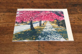 Cherry Blossoms, Bournville Lane (card)