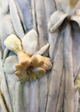 Narcissus Vase