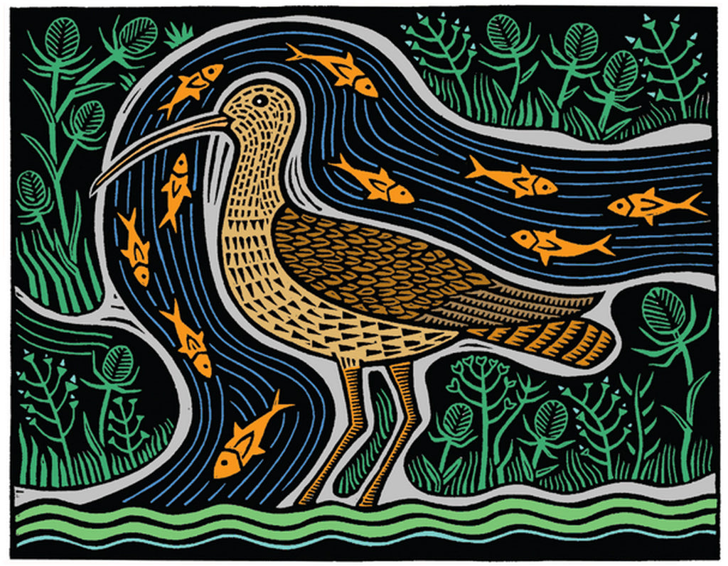 Conyer Curlew