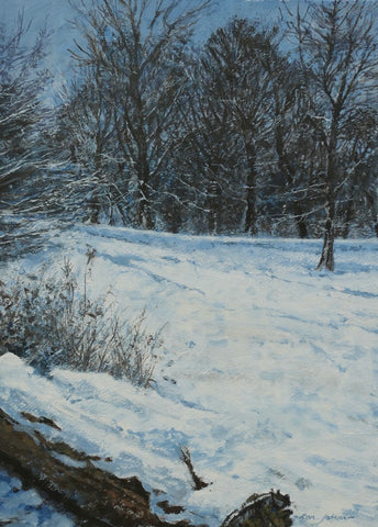 Snow in Highbury Park II. Acrylic, Framed (R07)