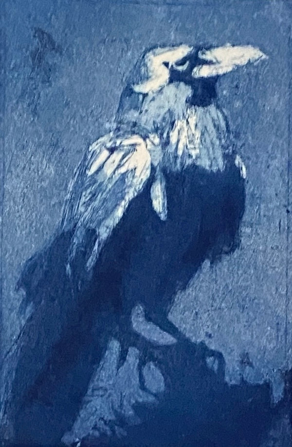 'Blue Raven' Etching Print by Nick Logan