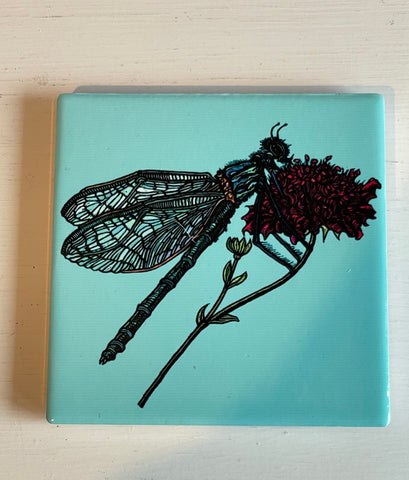 Dragonfly Coaster (RM)