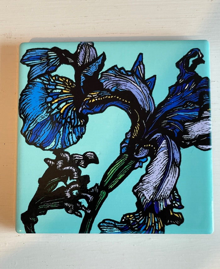 Iris Coaster (RM)