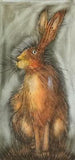 Sitting Hare a/p framed