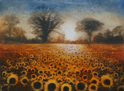 Sunflower Field a/p
