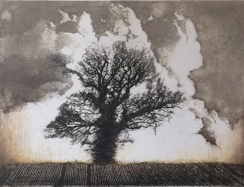 Tree and Cloud a/p (IM10)