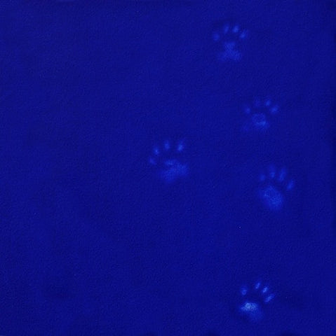 Yves Klein's Cat (framed)