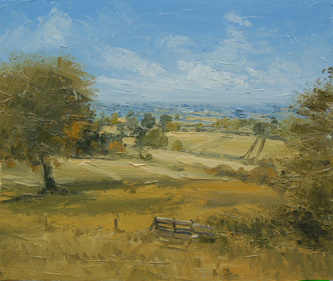 Morning Light in Summer