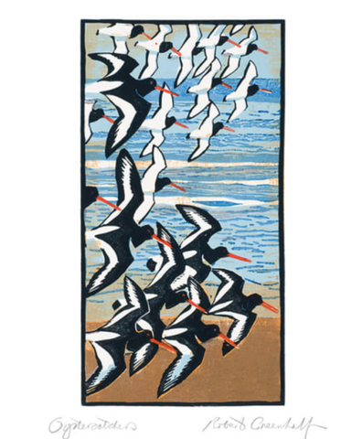 Oyster Catchers(card)