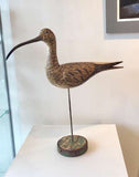 Large Curlew