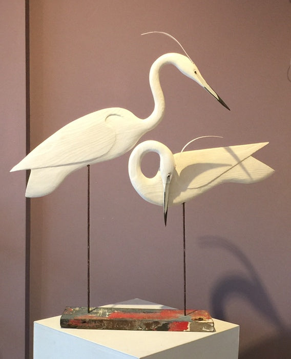 Pair of Egrets