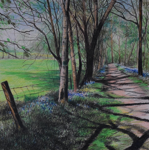 Shadows and Bluebells (CC19)