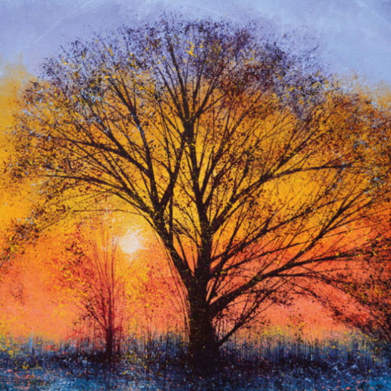 The Big Tree at Sunset (card)