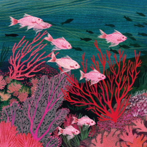 Tropical Fish (card)