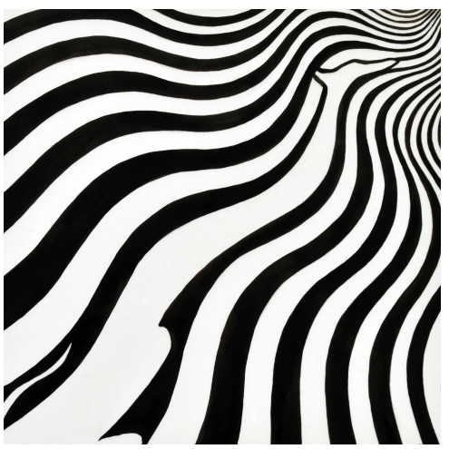 Bridget Riley's Dog 69/100 – Purple Gallery
