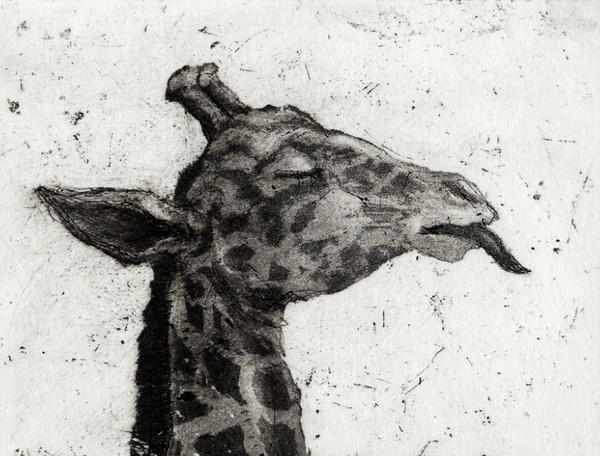 Giraffe 29/75, Framed Etching Print (CS04)