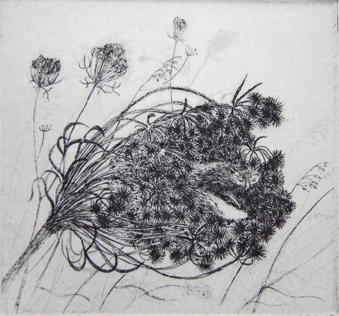 Seednest