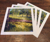 Sunlight Through the Trees, Cotteridge Park, Giclee Print 14/150 (CG27)