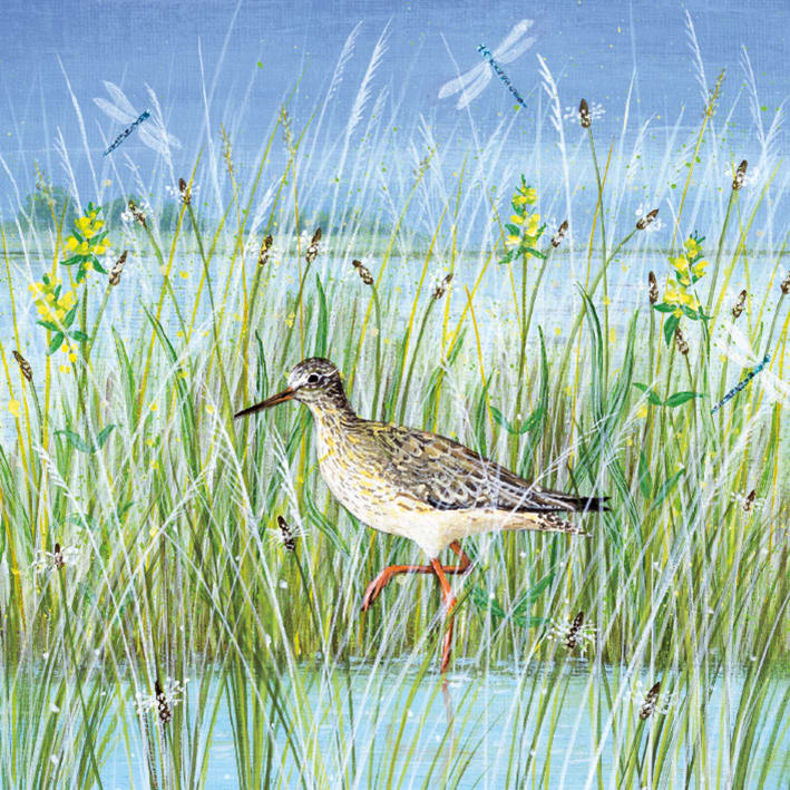 Wading Bird (card)