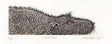 Home Alone. Etching Print 30/150 (AR16)