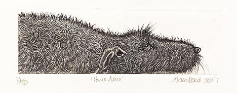 'Home Alone' Etching Print (AR16)