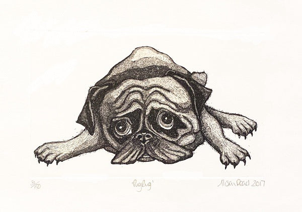 'Pug Rug' Etching Print 31/150 (AR19)