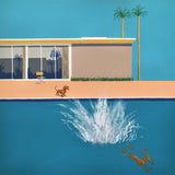Hockney's Dog - Bigger Splash (framed) a/p